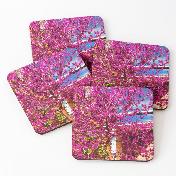 Window Frames of Pink Trees Coasters (Set of 4)