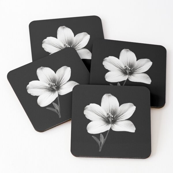 Item preview, Black and White Butterwort Flower v2 designed and sold by PiranhaEatFashion.