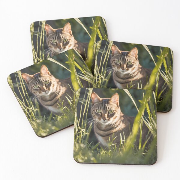 Item preview, Cute Funny Brown Tabby Cat Art Gifts For Tabby Cat Lovers  designed and sold by Cuteanimalgifts.