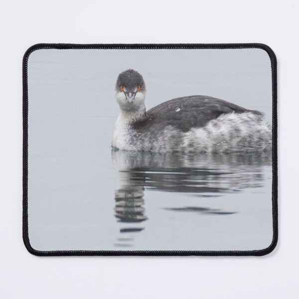 Item preview, Black Necked Grebe designed and sold by LaurenTucker.