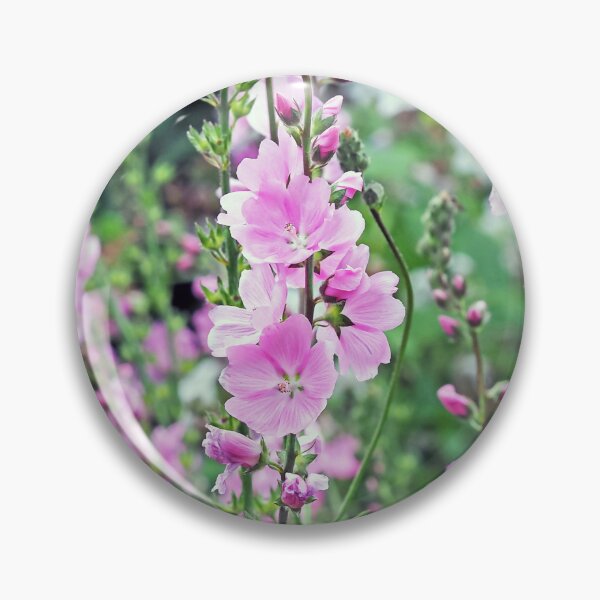Aperçu de l'œuvre Fleurs de mauve des prairies dans un jardin créée et vendue par ADCImages.