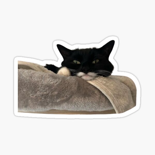 Item preview, Bed Jyn designed and sold by MyCatJyn.