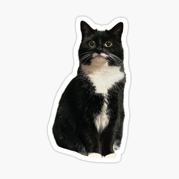 Item preview, Alert Jyn designed and sold by MyCatJyn.