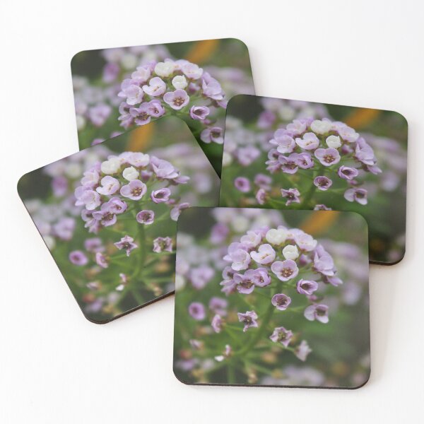 Item preview, Lobularia maritima designed and sold by rubylouiseart.