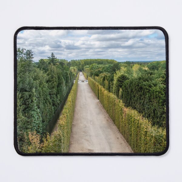 Item preview, Pasillo del bosque en los jardines de Versalles, Francia designed and sold by jrtwynam.