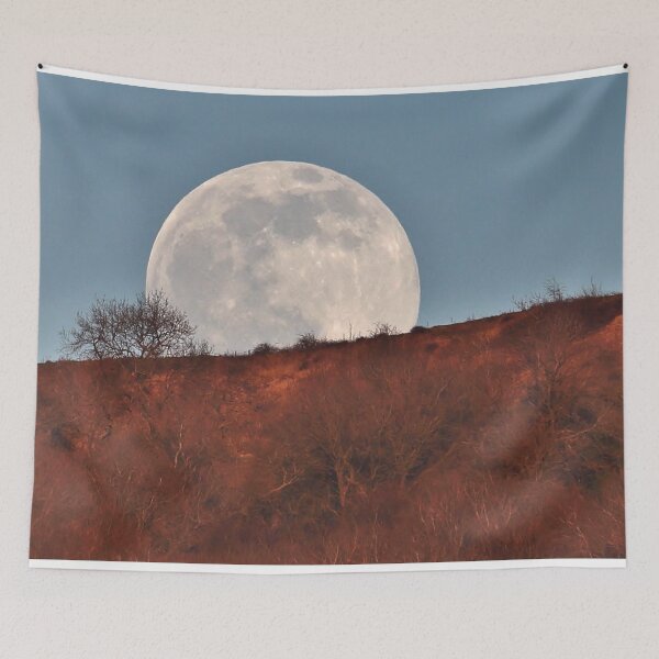 Item preview, Full Snow Moonrise designed and sold by Susan Snow Photography and Design.