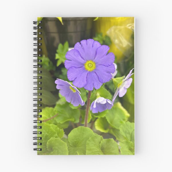 Item preview, Primula, purple flowers  designed and sold by Lauracolleen3.