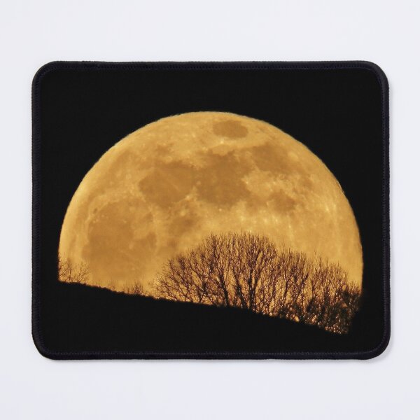 Item preview, Golden Full Moon Rising Behind Trees designed and sold by Susan Snow Photography and Design.