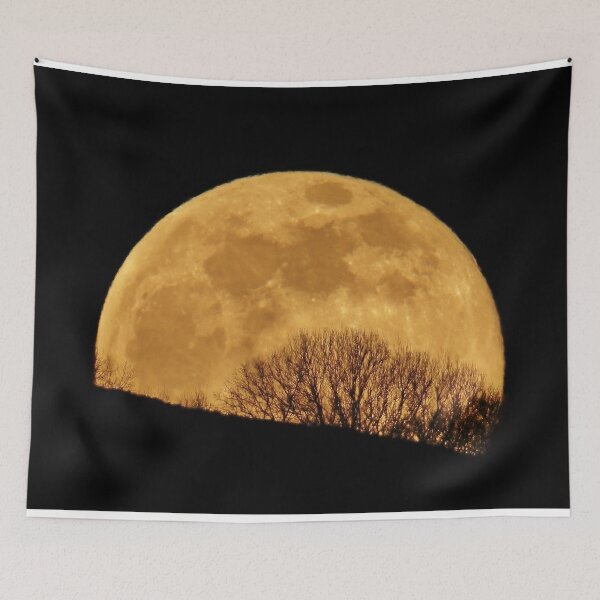 Item preview, Golden Full Moon Rising Behind Trees designed and sold by Susan Snow Photography and Design.