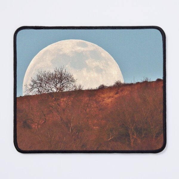 Item preview, The Moon Rising Behind a Tree designed and sold by Susan Snow Photography and Design.