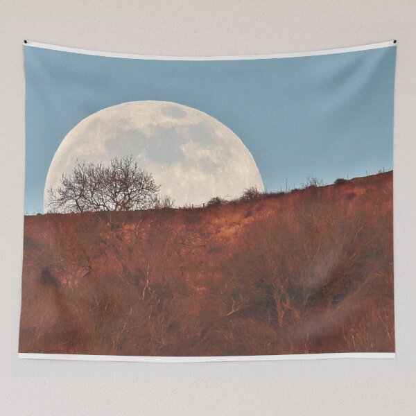 Item preview, The Moon Rising Behind a Tree designed and sold by Susan Snow Photography and Design.