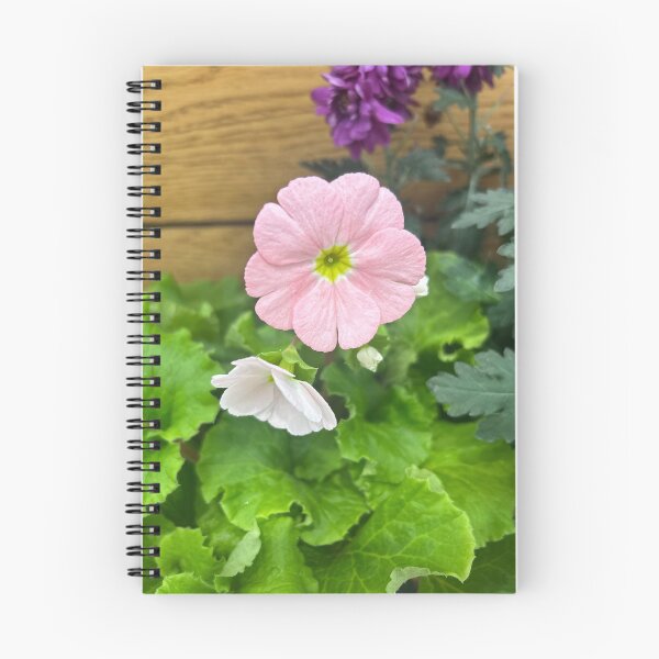 Item preview, Primrose ,pink flowers  designed and sold by Lauracolleen3.