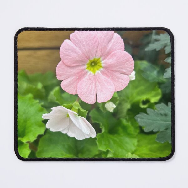 Item preview, Primrose ,pink flowers  designed and sold by Lauracolleen3.
