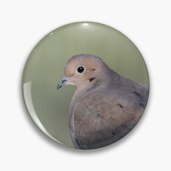Item preview, Turtle Dove designed and sold by lisapicklepizza.
