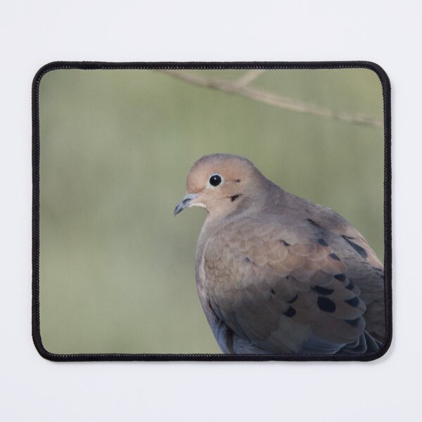 Item preview, Turtle Dove designed and sold by lisapicklepizza.