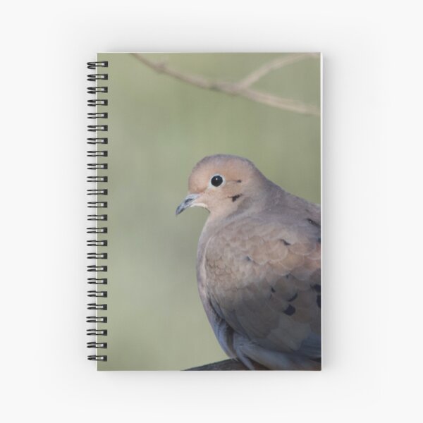 Item preview, Turtle Dove designed and sold by lisapicklepizza.