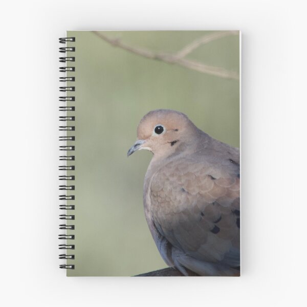 Item preview, Turtle Dove designed and sold by lisapicklepizza.