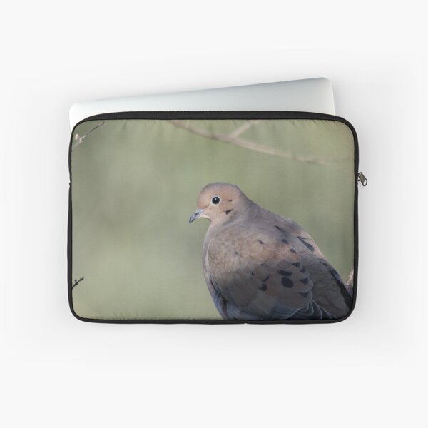 Item preview, Turtle Dove designed and sold by lisapicklepizza.