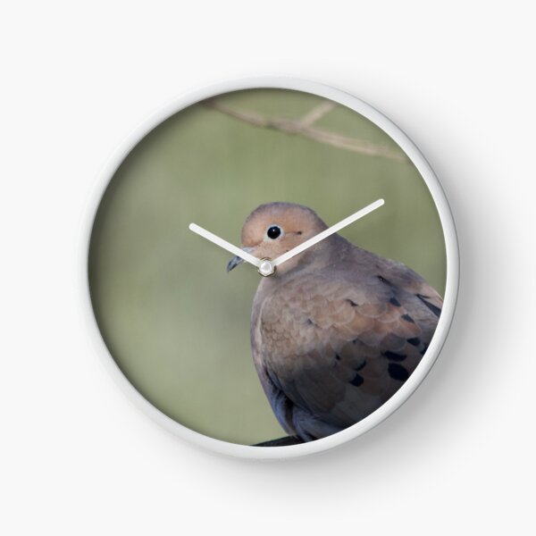 Item preview, Turtle Dove designed and sold by lisapicklepizza.