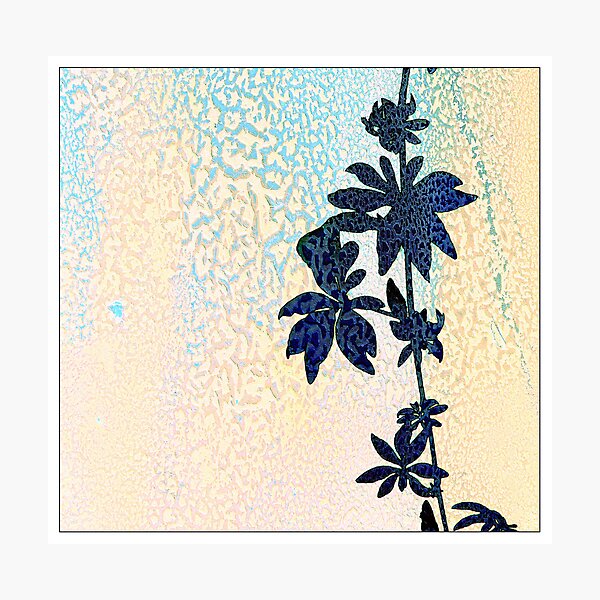 Item preview, Shadow and colors - (c) ben yassa designed and sold by beny .