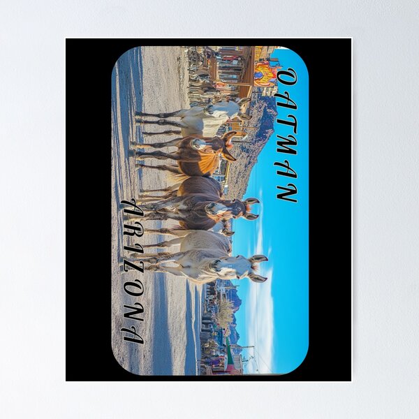 Item preview, Oatman Arizona Burros   designed and sold by MojaveTradePost.