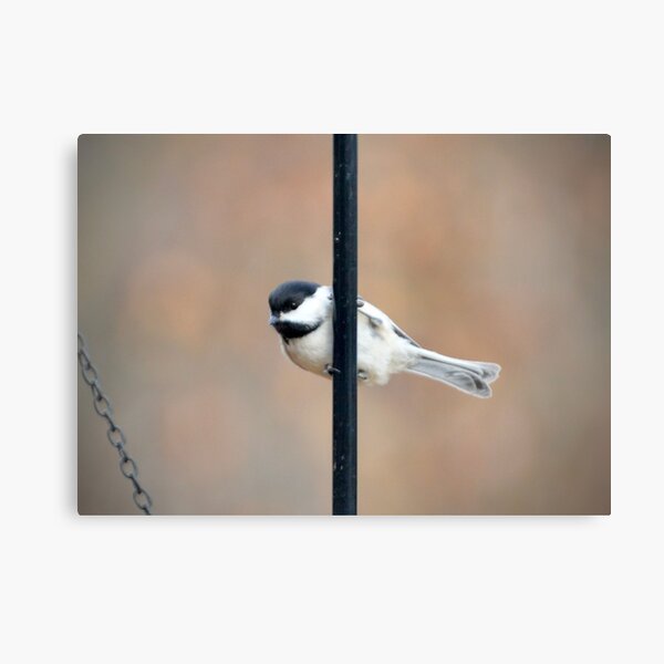 Item preview, Chicadee designed and sold by lisapicklepizza.
