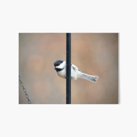 Item preview, Chicadee designed and sold by lisapicklepizza.