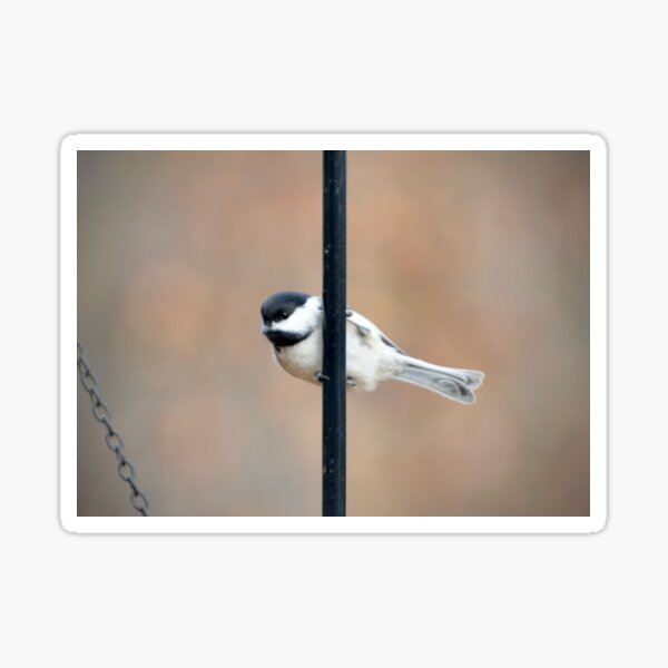 Item preview, Chicadee designed and sold by lisapicklepizza.