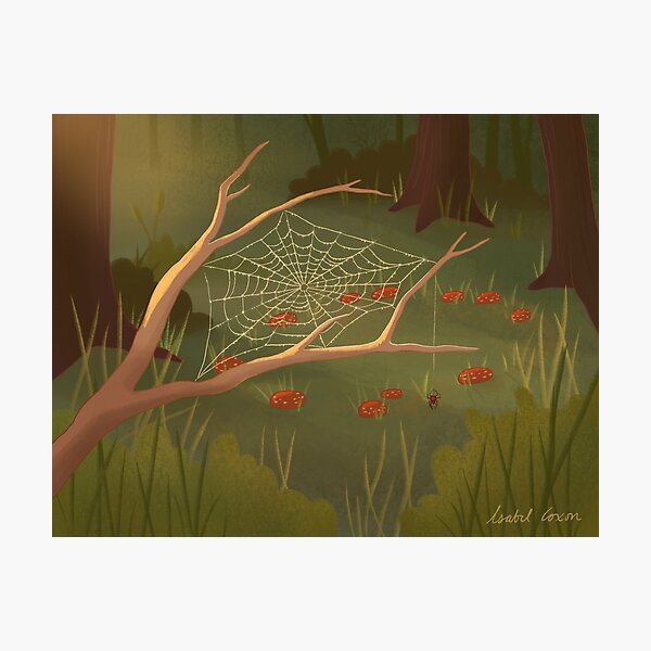 Item preview, Spider Web in Sunlight designed and sold by isabelcoxon.