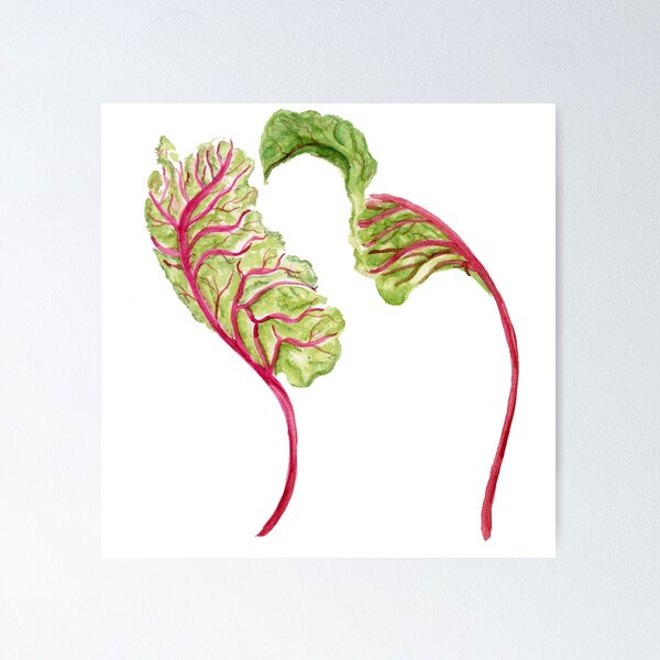 Item preview, Watercolor Dancing Swiss Chard designed and sold by daphsam.