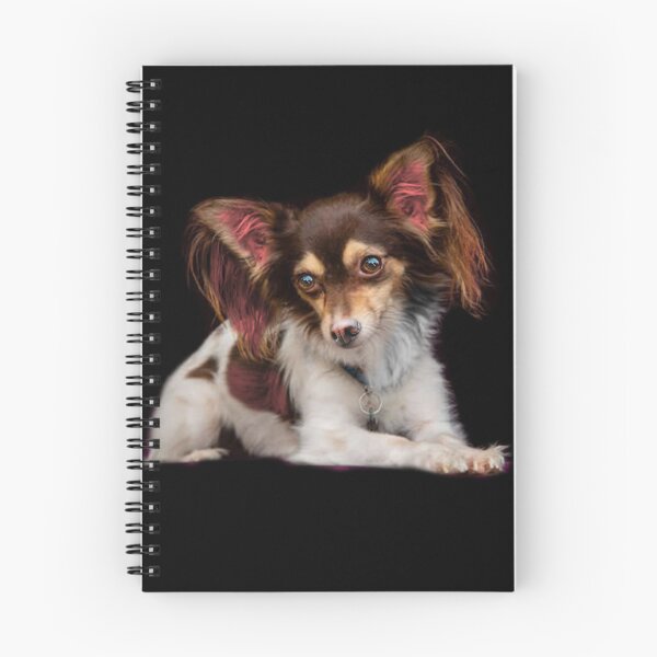 Item preview, Papillon designed and sold by Patricia Brown.