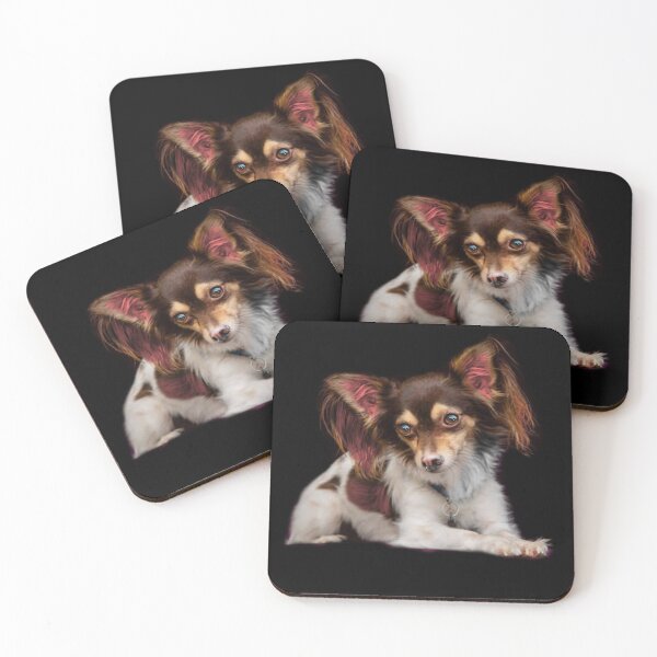 Item preview, Papillon designed and sold by Patricia Brown.
