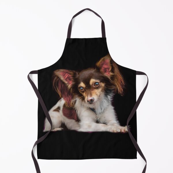 Item preview, Papillon designed and sold by Patricia Brown.