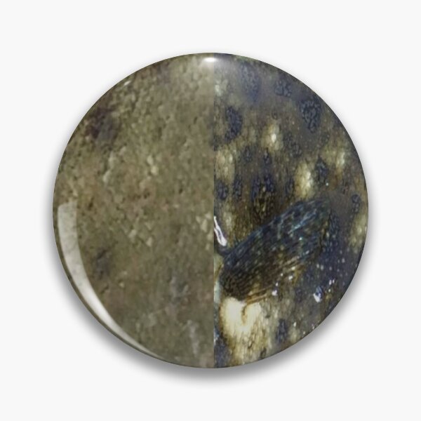 Item preview, Winter and Summer Flounder Skin Pattern designed and sold by CJRPics.