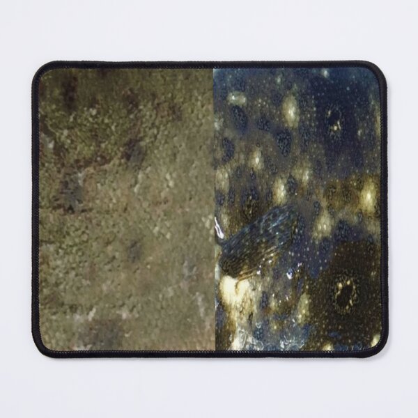 Item preview, Winter and Summer Flounder Skin Pattern designed and sold by CJRPics.