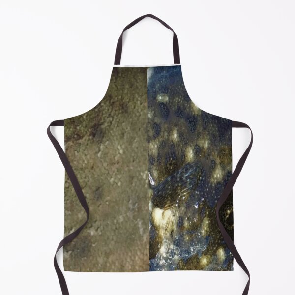 Item preview, Winter and Summer Flounder Skin Pattern designed and sold by CJRPics.