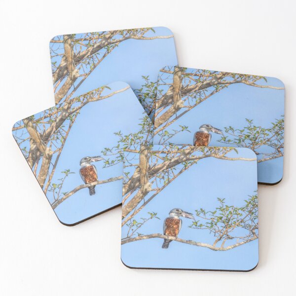 Item preview, Ringed Kingfisher Catches Lunch Pantanal Brazil designed and sold by PhotoArt by Joan Carroll.