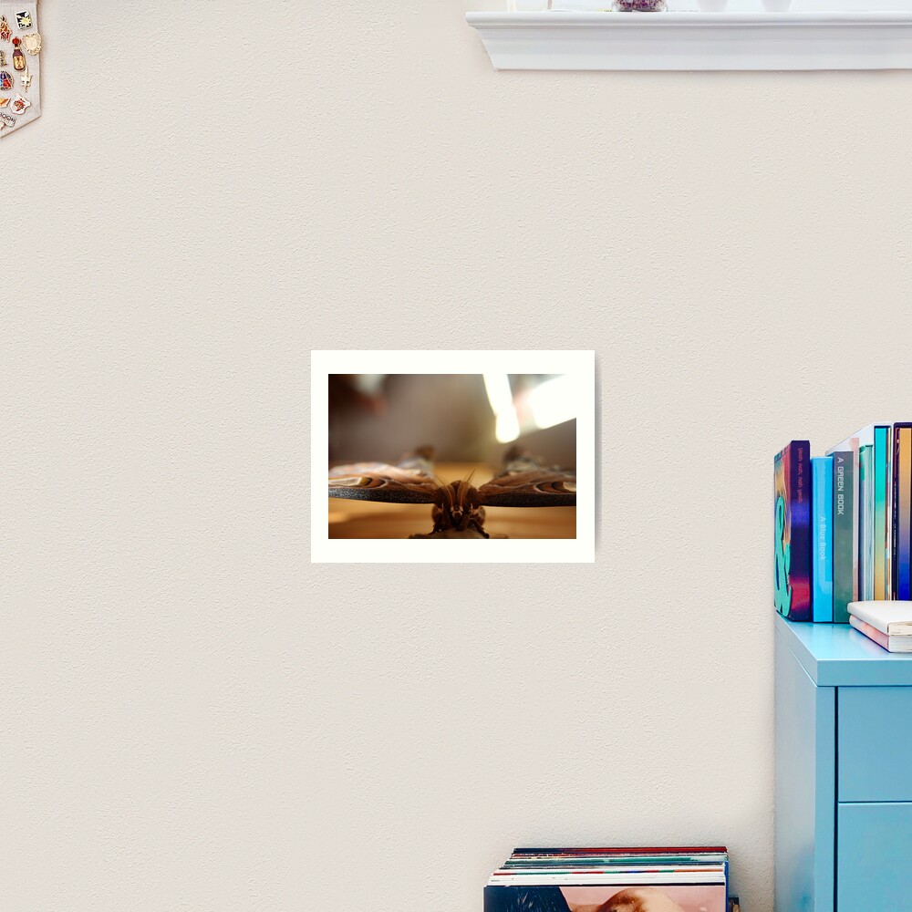 Item preview, Art Print designed and sold by robmac.