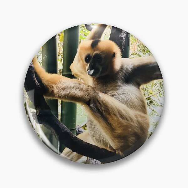 Item preview, MONKEY SEE, MONKEY DO! ( GIBBON ) designed and sold by Lorridge.