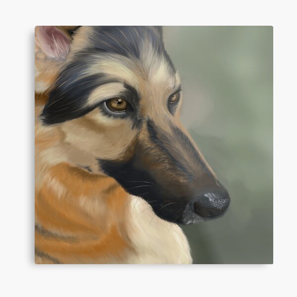 German Shepherd Metal Print