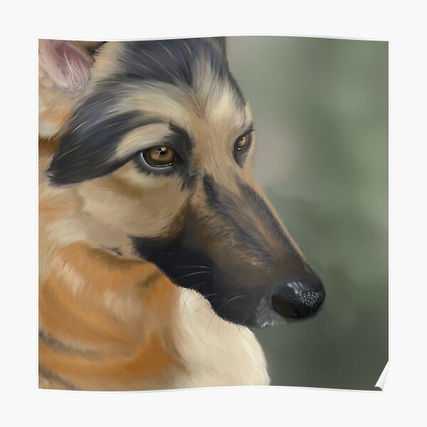 German Shepherd Poster