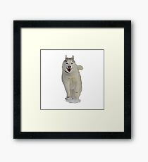Running Husky Framed Print