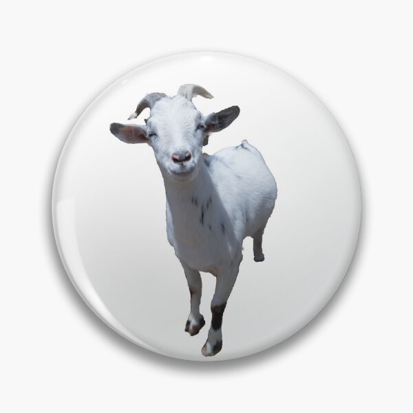 Item preview, Herbie the Nigerian Dwarf Goat designed and sold by WestmeisterFarm.