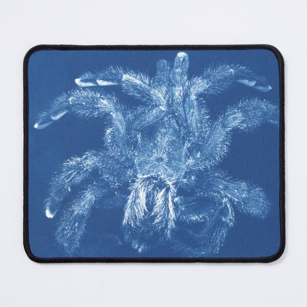 Item preview, Bug's Eye View - Goliath Pink Toe Tarantula designed and sold by Bug's Eye View.