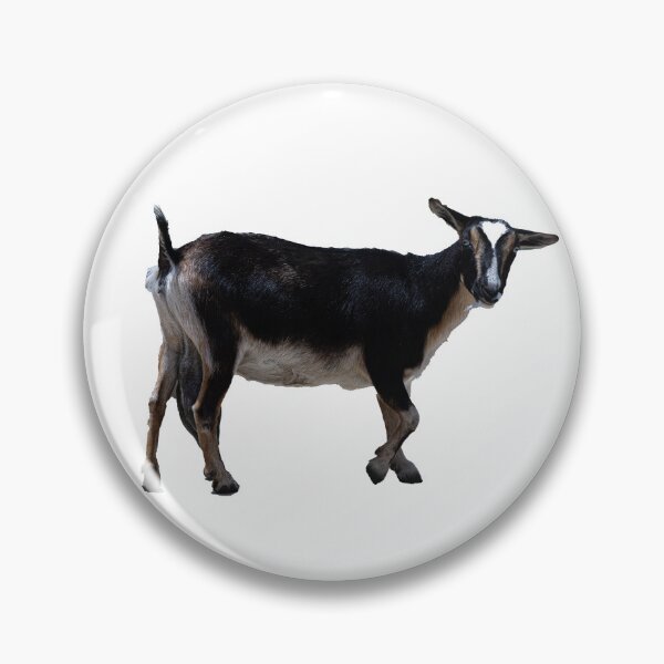 Item preview, Betsy the Nigerian Dwarf Goat designed and sold by WestmeisterFarm.