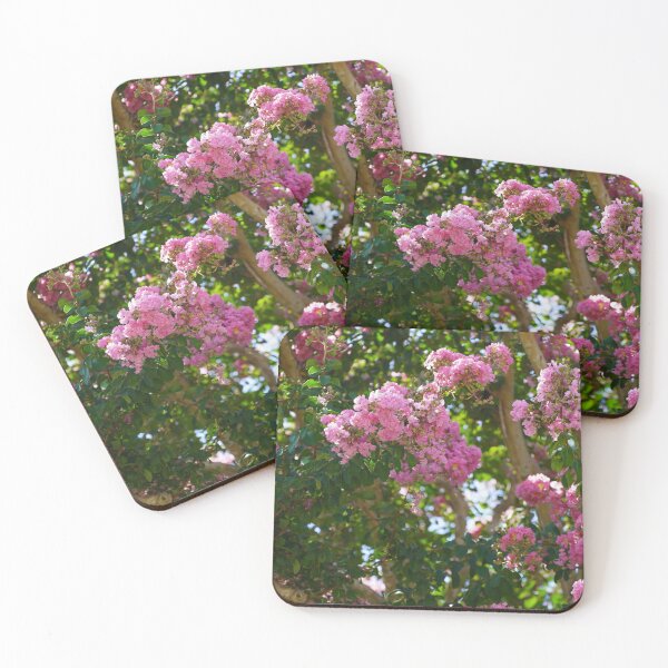 Item preview, Florida Flowers designed and sold by Redfiredragon.
