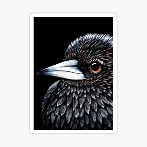 Item preview, Baby Magpie designed and sold by Linda Callaghan.