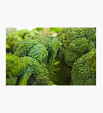 Broccoli Photographic Print