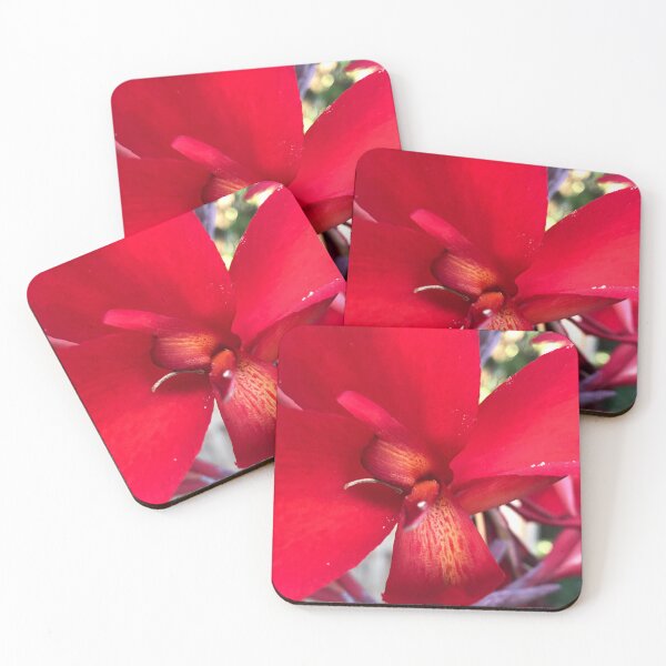 Item preview, Canna Lily designed and sold by Betsy Phillips.