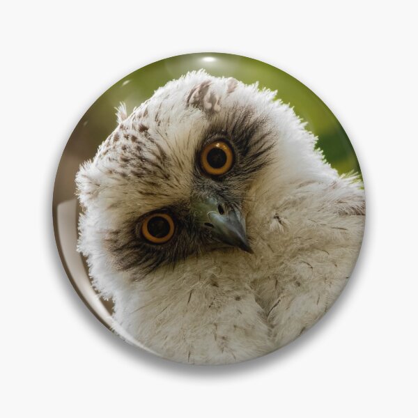 Item preview, Juvenile Powerful Owl designed and sold by ybeesa-art.